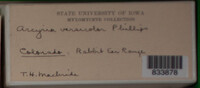 Image Associated With the Occurence